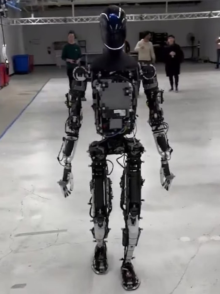 Robot Optimus