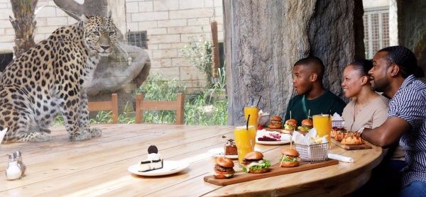 Siapa Berani? Di Sini Bisa Sarapan Ditemani Macan hingga Singa Buas