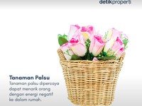 Ada yang Pernah Lihat 7 Tanaman Pembawa Sial Menurut Feng Shui Ini?