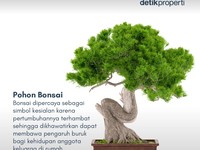 Ada yang Pernah Lihat 7 Tanaman Pembawa Sial Menurut Feng Shui Ini?