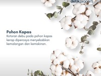 Ada yang Pernah Lihat 7 Tanaman Pembawa Sial Menurut Feng Shui Ini?