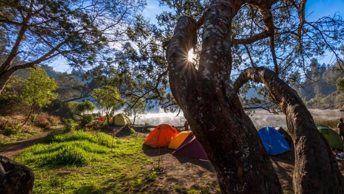 Camping Ground Ranu Regulo di Desa Ranu Pani, Kabupaten Lumajang.