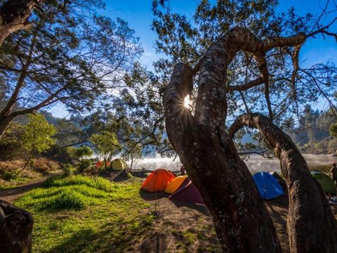 Camping Ground Ranu Regulo di Desa Ranu Pani, Kabupaten Lumajang.