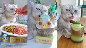 Gemas! 10 Hewan Ini Populer Berkat Konten Mukbang dan ASMR