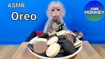 Gemas! 10 Hewan Ini Populer Berkat Konten Mukbang dan ASMR