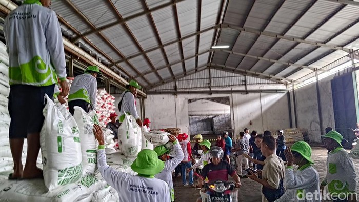 Petugas menurunkan pupuk nonsubsidi yang dijual dengan diskon 40% di Gudang Pupuk Lini III Singojuruh, Banyuwangi.