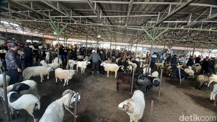 Suasana di Pasar Domba Tanjungsari, Kabupaten Sumedang, Sabtu (3/2/2024).