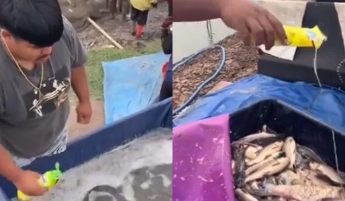 Parah! Penjual Ikan Campurkan Sabun Cuci ke Kolam, Ini Alasannya