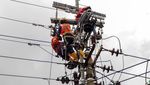 Perjuangan Petugas PLN Rawat Jaringan untuk Tingkatkan Pelayanan
