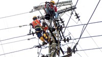 Petugas PLN melakukan perawatan jaringan listrik di Jalan Ahmad Yani, Sidoarjo, Jawa Timur, Minggu (4/2/2024).