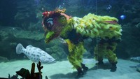 Acara tahunan ini menjadi favorit pengunjung akuarium dan selalu menarik ratusan pengunjung.   