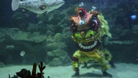 Aquaria Kuala Lumpur Convention Center mengadakan serangkaian acara bawah air bersamaan dengan perayaan tahun baru Imlek yang akan datang. Acara utamanya adalah pertunjukan barongsai bawah air, dimana penyelam profesional mengenakan kostum singa dan menari di samping penyu, ikan, dan makhluk laut lainnya.