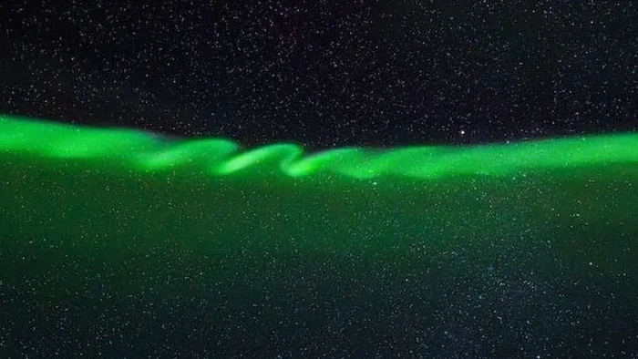 Aurora keriting