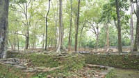 Kompleks ini juga merupakan rumah bagi artefak berharga seperti patung Prajnaparamita, dwarapala, dan gajahsimha, yang menampilkan kekayaan budaya dan agama di situs tersebut. Foto: (Dok Kemendikbud)