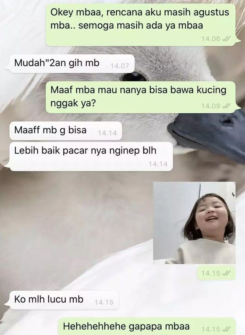 Drama cari kosan yang dekat tempat kuliah atau kerja memang ada saja. Yang sreg di hati bukan cuma berlaku untuk cari pacar, tapi kosan juga.