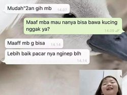 Drama Chat Kocak Cari Kosan, Ketawa Aja Dulu