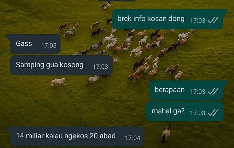 Drama cari kosan yang dekat tempat kuliah atau kerja memang ada saja. Yang sreg di hati bukan cuma berlaku untuk cari pacar, tapi kosan juga.