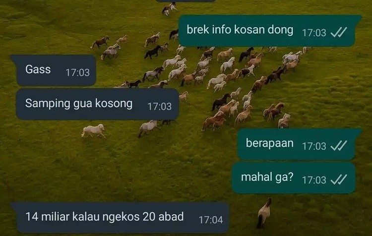 Drama Chat Kocak Cari Kosan, Ketawa Aja Dulu Drama cari kosan yang dekat tempat kuliah atau kerja memang ada saja. Yang sreg di hati bukan cuma berlaku untuk cari pacar, tapi kosan juga.