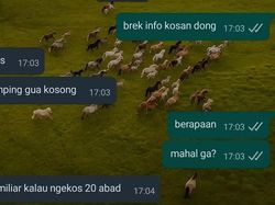 Drama Chat Kocak Cari Kosan, Ketawa Aja Dulu