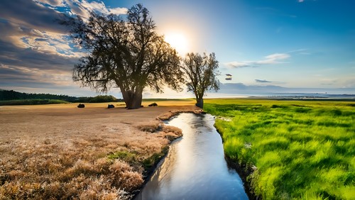 Ilustrasi Perubahan dan Krisis Iklim