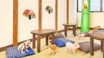 Unik! Di Jepang Ada Kafe Babi, Begini Suasana di Dalamnya