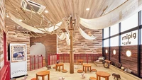 Mipig Cafe ini berada di beberapa daerah yang tersebar di seluruh Jepang. Mulai dari Tokyo, Hokkaido, hingga Kyushu. Foto: Mipig Cafe