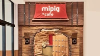 Mipig atau mini pig merupakan babi dengan ukuran yang kecil. Di Jepang ada kafe yang khusus menghadirkan babi kecil untuk menemani pelanggannya. Foto: Mipig Cafe