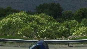Model mobil terbaru micro-car. Foto: Boredpanda