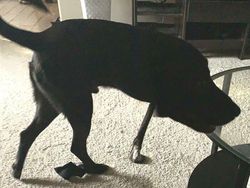 Kumpulan Foto Panorama yang Gagal Total, Bikin Ngakak