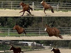 Kumpulan Foto Panorama yang Gagal Total, Bikin Ngakak