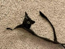 Kumpulan Foto Panorama yang Gagal Total, Bikin Ngakak