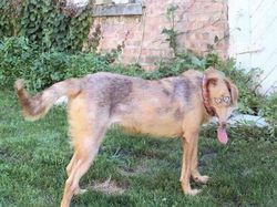 Kumpulan Foto Panorama yang Gagal Total, Bikin Ngakak