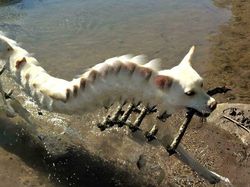 Kumpulan Foto Panorama yang Gagal Total, Bikin Ngakak