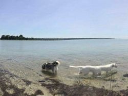 Kumpulan Foto Panorama yang Gagal Total, Bikin Ngakak