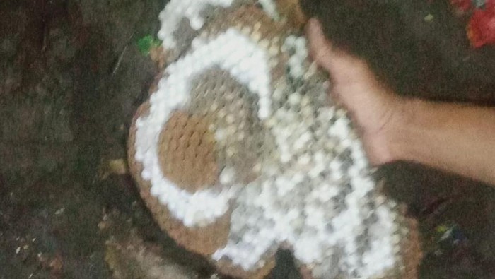 Sarang tawon tabuhan dievakuasi relawan di Klaten.