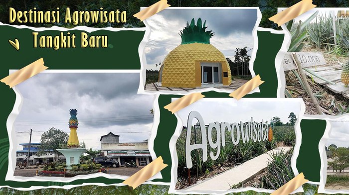 Agrowisata Tangkit Baru, merupakan salah satu tempat wisata di Muaro Jambi.