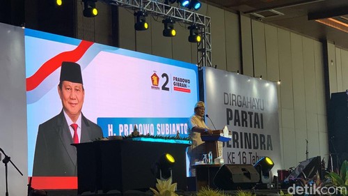 Calon presiden (capres) nomor urut 2, Prabowo Subianto saat pidato dalam acara HUT Partai Gerindra ke-16 di Sanur, Denpasar, Bali, Selasa (6/2/2024). (dok Rizki Setyo/detikBali)