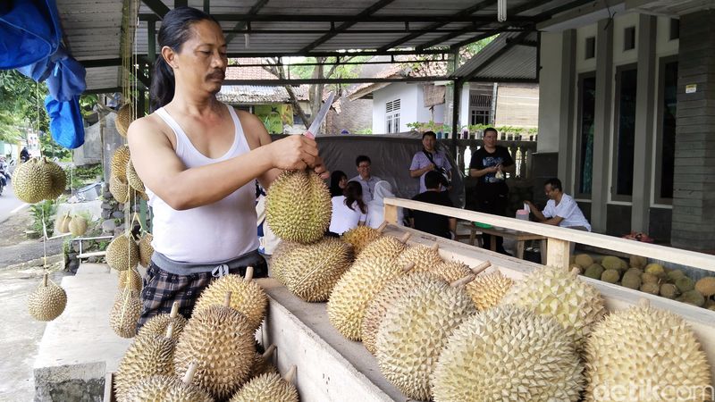 Durian lokal Kuningan.