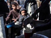 Warga Gaza Kian Merana, Kini Makan Rumput dan Pakan Ternak