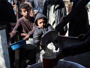 Pilu Warga di Gaza, Tanaman Obat Kini Jadi Makanan Sehari-hari