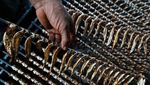 Harga Ikan Asap di Kendari Naik