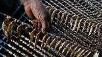 Produksi ikan asap menurun disebabkan kesulitan memperoleh ikan yang biasa digunakan dan menyebabkan harga ikan asap naik dari Rp 23 ribu per kilogram menjadi Rp 27 ribu per kilogram.