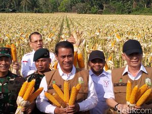 Mentan Panen Jagung di Aceh: Sudah Ada Hilal, Tanda-tanda Setop Impor