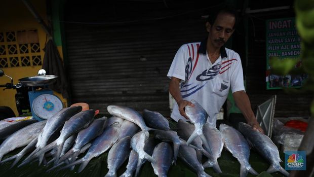 Pedagang ikan Bandeng musiman mulai berjualan di sepanjang Jalan Rawa Belong, Palmerah, Jakarta Barat, Selasa (6/2/2024). Pedagang ikan tersebut biasa berjualan saat menjelang Hari Raya Imlek. (CNBC Indonesia/Tri Susilo)