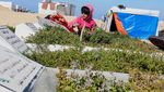Pemakaman di Rafah Jadi Lokasi Pengungsian