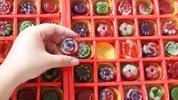 Perajin kue keranjang mengatakan, permintaan makanan berbahan tepung ketan yang biasa disajikan warga Tionghoa itu mengalami peningkatan. Kue itu dijual ke berbagai kota di Indonesia dengan harga Rp 45 ribu hingga Rp 55 ribu tergantung varian rasa.  