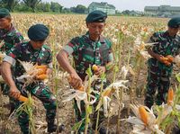 Itinerary 1 Hari Liburan di Solo, Anti-macet Bisa Jalan Kaki