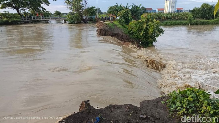 Tanggul Kali Plalangan Lamongan jebol merendam tambak dan rumah warga.