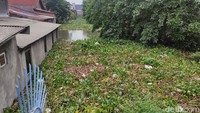 Sungai di sekitar Terminal Purabaya, Bungurasih/Foto: Suparno/detikJatim