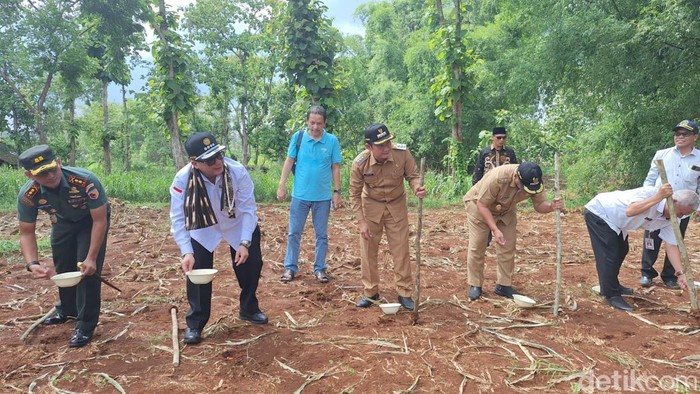 Wamentan Harvick menanam jagung di Lamongan